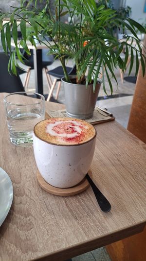  at VíK - Vegan Venue in Bratislava