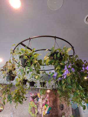  at VíK - Vegan Venue in Bratislava