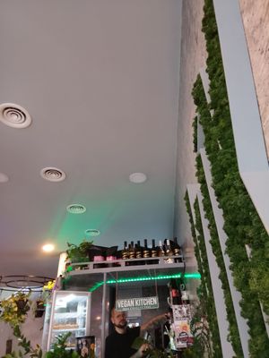  at VíK - Vegan Venue in Bratislava