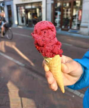 Bosbessen vegan ijs. 1 bolletje at Ijs van Matthijs in Leiden