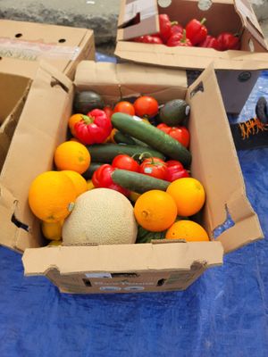 Full share June 1 at Homer Fruits in Homer