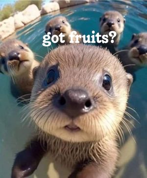  at Homer Fruits in Homer