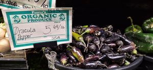  at Ocean Beach People's Organic Foods Deli in San Diego