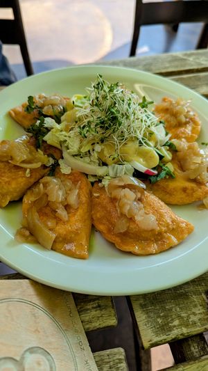 Wholegrain red lentils and vegetable pirogi (dumplings) - pan fried at Dal Dalla Gelato in Warsaw