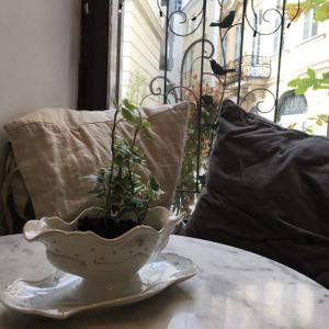 inside at Simply Raw Bakery and Bistro in Vienna