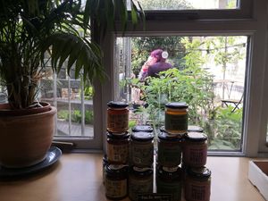 Outdoor seating at Grain Culture in Ely