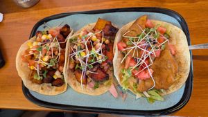 Taco Trio at Social Taco in East Peoria