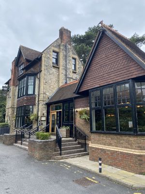 The Pippin  at Pippin in Maidstone