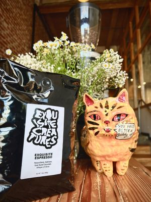 Our Espresso is absolutely to die for and shop cat approved! at Exquisite Creatures Coffee in Portland