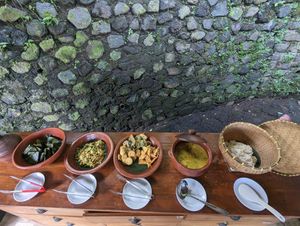 The spread all displayed at Anandinii Organic Garden & Kitchen in Sidemen