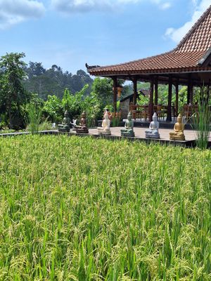 The place at Anandinii Organic Garden & Kitchen in Sidemen