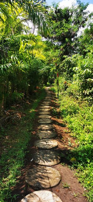 The entrance at Anandinii Organic Garden & Kitchen in Sidemen
