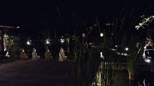  at Anandinii Organic Garden & Kitchen in Sidemen