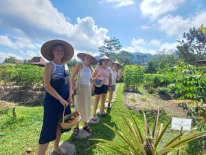 The garden tour which is a part of our Balinese Vegan Cooking Class program at Anandinii Organic Garden & Kitchen in Sidemen