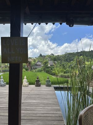   at Anandinii Organic Garden & Kitchen in Sidemen