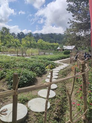 Gardens at Anandinii Organic Garden & Kitchen in Sidemen