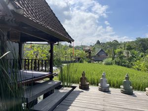 View of the garden  at Anandinii Organic Garden & Kitchen in Sidemen