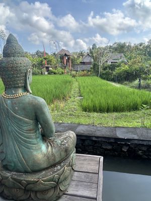   at Anandinii Organic Garden & Kitchen in Sidemen