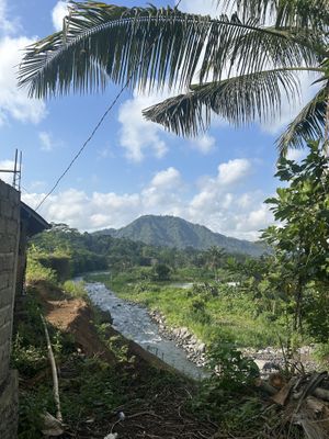   at Anandinii Organic Garden & Kitchen in Sidemen