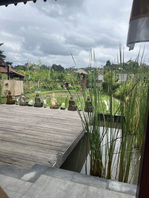   at Anandinii Organic Garden & Kitchen in Sidemen