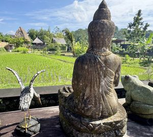 The serenity   at Anandinii Organic Garden & Kitchen in Sidemen