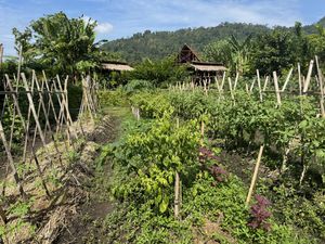 All ingredients organic and grown onsite   at Anandinii Organic Garden & Kitchen in Sidemen