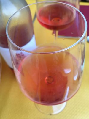 One of their own organic wines at Agriturismo Tenuta Antica in Cessole