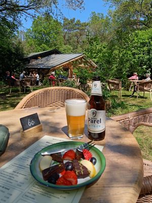 Vegan chocolade gember citroentaart en een biologisch biertje at Theehuys Anserdennen in Ansen