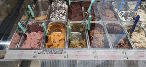 Vegan gelato at Gelateria Artigianale Rufus in Pisa