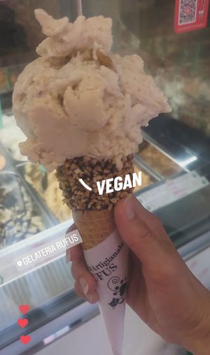 Absolutely cute and the half is vegan ! Even the cone ! 😻 at Gelateria Artigianale Rufus in Pisa