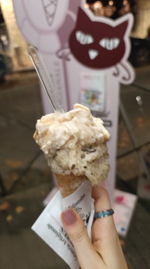  at Gelateria Artigianale Rufus in Pisa
