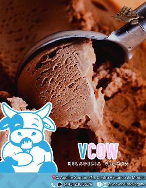 Helado de chocolate  at VCOW in Morelia
