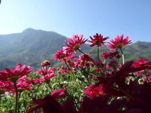 view at Village Pub & Cafe in Lao Cai