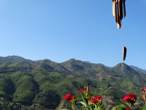  at Village Pub & Cafe in Lao Cai