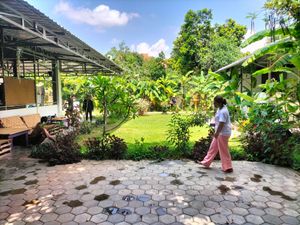 The tropical gardens at Ground Zero. at Ground Zero Martial Arts and Yoga Cafe in Siem Reap