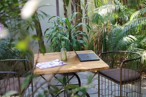  at Ground Zero Martial Arts and Yoga Cafe in Siem Reap