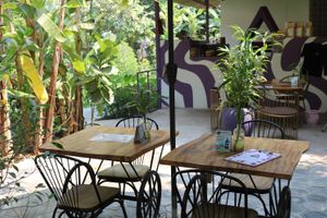  at Ground Zero Martial Arts and Yoga Cafe in Siem Reap