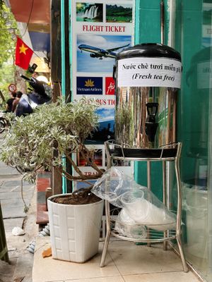 Free tea  at Bánh Mì chay Vegan in Hanoi