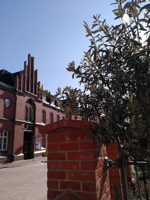  at ÖXL Café in Wismar