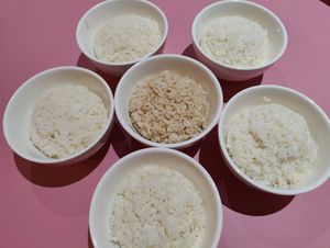 choice of white and brown rice at Mother Earth Classic - 大地之素 in Central Singapore