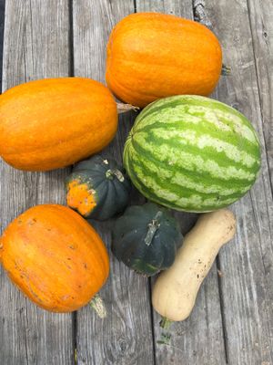  at Vegan Event Space in Gardiner