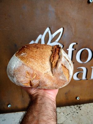  at Forno Urbano in Trento