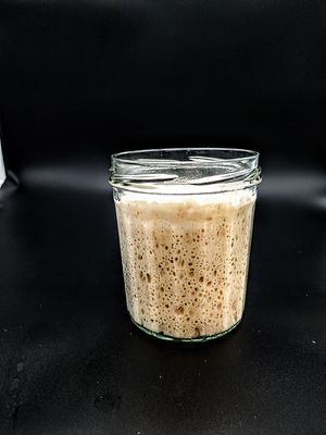  at Forno Urbano in Trento