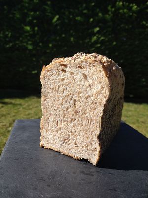  at Forno Urbano in Trento