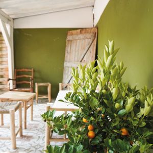  at Bloomy Les Jardins in Toulouse