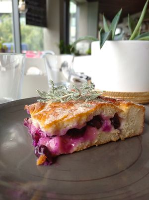 Gâteau aux raisin et aux herbes Corses at Sambuca in Clermont-ferrand
