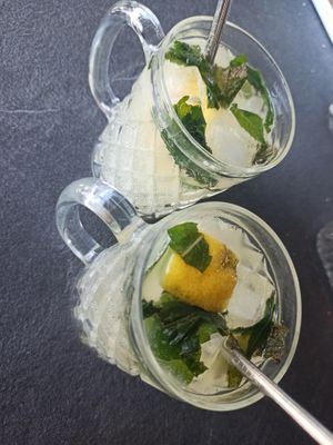 Melisso, boisson fermenté à la  melisse + menthe at Sambuca in Clermont-ferrand