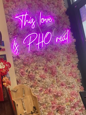 A touch of scouse wit  at Doux Chaton in Liverpool