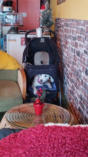  at Sugar Planty in Mexico City