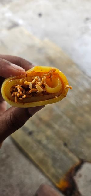  at Laphing Stall  in Dharamshala